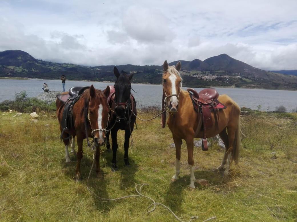 Glamping San Martin Camping
